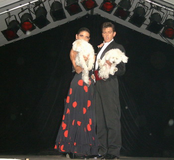 Festival de la Magie de l&#039;Eau d&#039;Olle