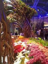 las vegas attractions