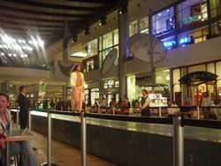 las vegas attractions