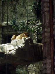 las vegas attractions