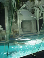 las vegas attractions