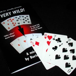 Jaquette de Very Wild de Boris WILD