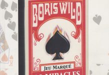 Le Livre du Jeu Marqué de Boris WILD