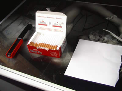 Fabrication de Cigarettes