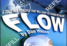 Flow de Dan HAUSS