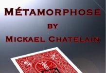 Métamorphose de Mickael CHATELAIN