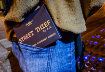 Street Thief de Paul HARRIS