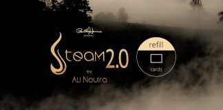Steam 2.0 de Ali NOUIRA