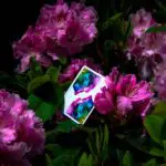 Jeu de Cartes Memento Mori de Chris RAMSAY