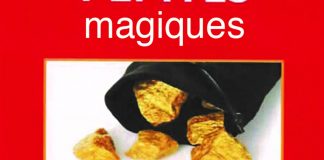 12 Pépites Magiques de Duraty