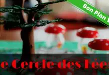 Le Cercle des Fées de Christopher
