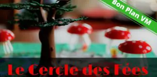 Le Cercle des Fées de Christopher