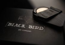 Blackbird de Jeff COPELAND