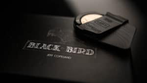 Blackbird de Jeff COPELAND