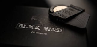 Blackbird de Jeff COPELAND