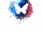 Le Secret des Papillons de Ondřej PSENICKA | couverture