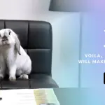 Voila application magique (2)