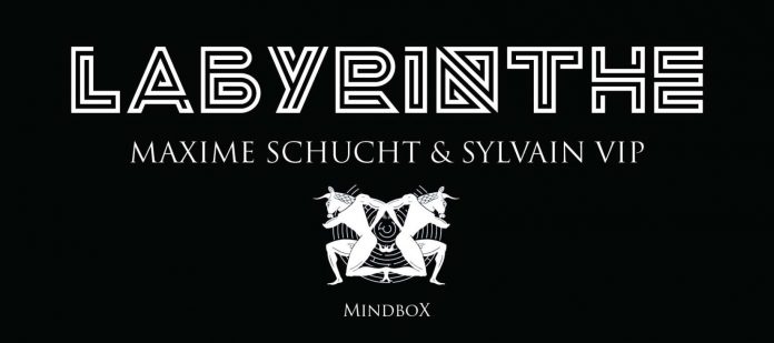 Labyrinthe de Sylvain VIP et Maxime SCHUCHT