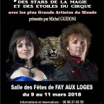 5e Festival des Stars de la Magie et des Etoiles du Cirque 2018 (45)