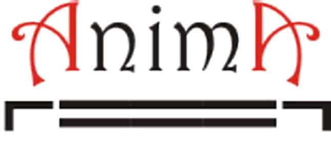 Association magie Anima Nantes