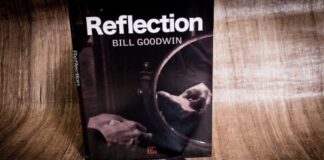 Reflection de Bill GOODWIN