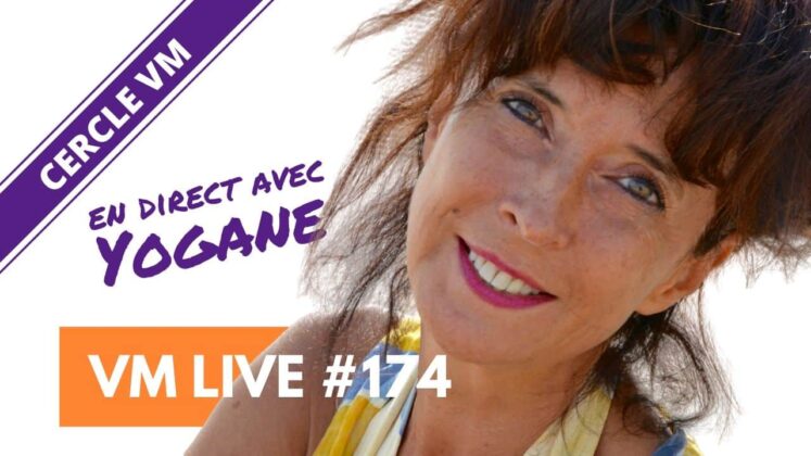 VM LiveVM Live Yogane