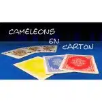cameleons-en-carton