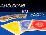 Caméléons en carton de Philippe Molina | Bon Plan VM