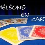 cameleons-en-carton-e1670842471928