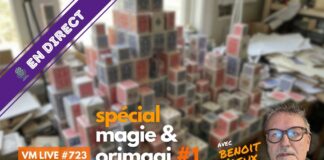 magie & origami #1