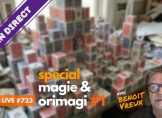 magie & origami #1